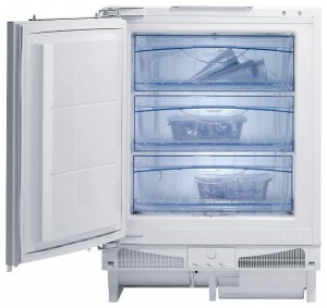 Buzdolabı Gorenje FIU 6108 W fotoğraf gözden geçirmek