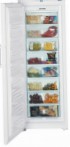лучшая Liebherr GNP 4156 Холодильник обзор