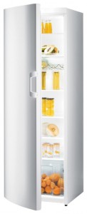 Refrigerator Gorenje R 6181 AW larawan pagsusuri