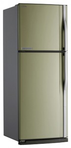 Kühlschrank Toshiba GR-R59FTR SC Foto Rezension