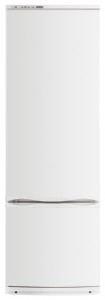 Refrigerator ATLANT ХМ 6022-031 larawan pagsusuri