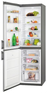 Refrigerator Zanussi ZRB 35100 SA larawan pagsusuri