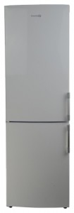 Refrigerator Bauknecht KGN 317 Profresh A+ WS larawan pagsusuri