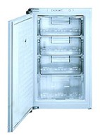 Refrigerator Siemens GI12B440 larawan pagsusuri