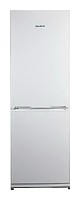 Refrigerator Snaige RF31SM-Р10022 larawan pagsusuri
