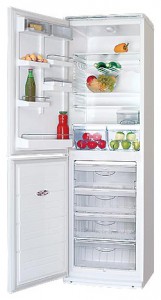 Refrigerator ATLANT ХМ 5012-000 larawan pagsusuri