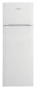 Refrigerator BEKO DS 227010 larawan pagsusuri