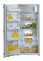 Refrigerator Gorenje RI 2142 LA larawan pagsusuri