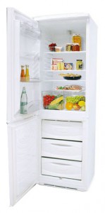 Refrigerator NORD 239-7-040 larawan pagsusuri