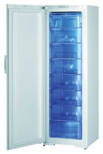 Kühlschrank Gorenje F 60300 DW Foto Rezension