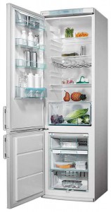 Refrigerator Electrolux ENB 3850 larawan pagsusuri