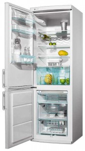 Refrigerator Electrolux ENB 3440 larawan pagsusuri