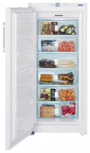 Kjøleskap Liebherr GNP 3166 Bilde anmeldelse