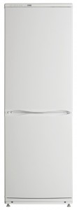 Refrigerator ATLANT ХМ 6019-031 larawan pagsusuri