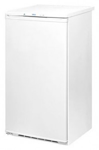 Refrigerator NORD 431-7-310 larawan pagsusuri