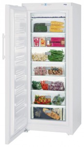 Refrigerator Liebherr GP 3513 larawan pagsusuri