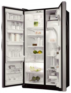 Fridge Electrolux ERL 6296 SK Photo review