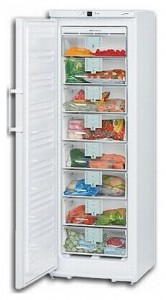 Kühlschrank Liebherr GN 28530 Foto Rezension