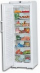 лучшая Liebherr GN 28530 Холодильник обзор