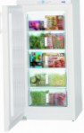 лучшая Liebherr G 2033 Холодильник обзор
