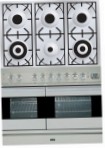 best ILVE PDF-1006-VG Stainless-Steel Kitchen Stove review