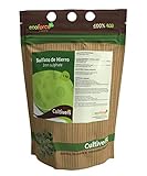 CULTIVERS Sulfato de Hierro Heptahidratado de 1 Kg múltiples uso Hogar y Jardín. Abono Natural para Plantas aporte de Hierro y Reduce de pH del suelo. Colorante para Hormigón efecto Rojizo, Oxidado Foto, mejor precio 11,90 € nuevo 2025