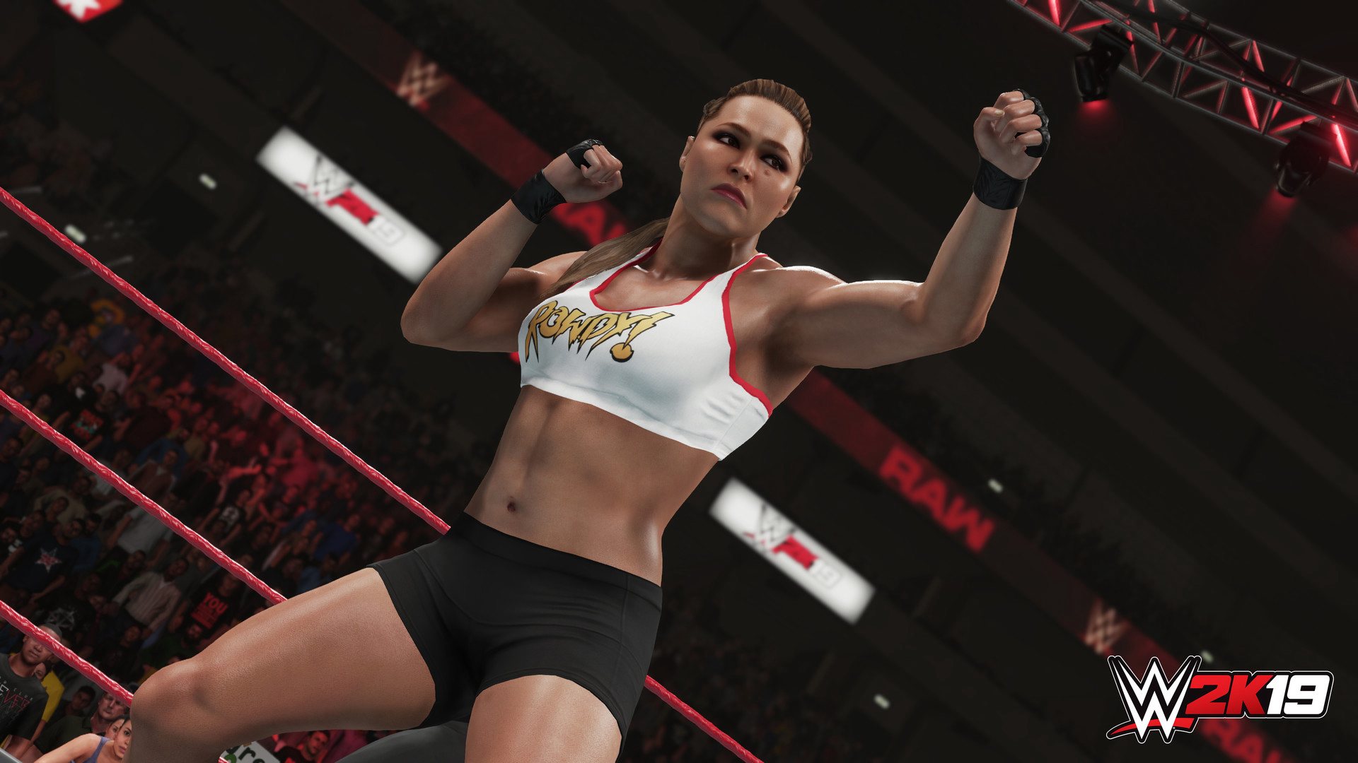 WWE 2K19 PlayStation 4 Account pixelpuffin.net Activation Link 15.81 $