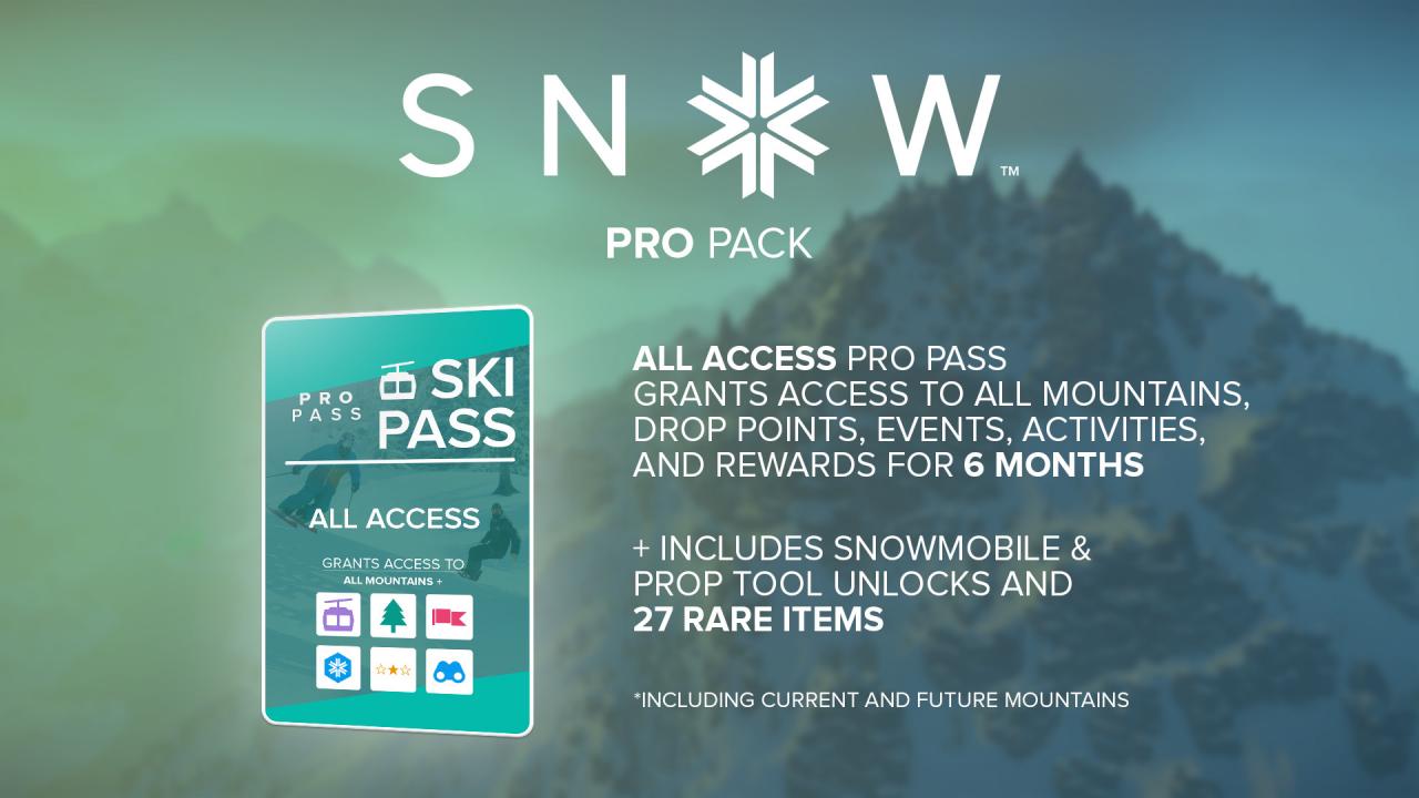 SNOW - Pro Pack DLC EU Steam CD Key 0.53 $