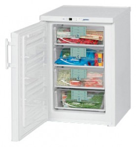 Refrigerator Liebherr GP 1366 larawan pagsusuri