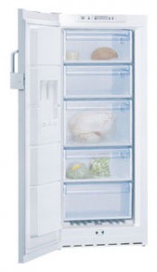 Refrigerator Bosch GSV22V31 larawan pagsusuri