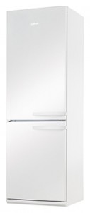 Refrigerator Amica FK328.3AA larawan pagsusuri