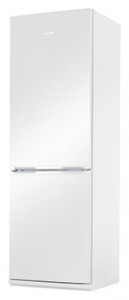 Холодильник Amica FK328.4 Фото обзор