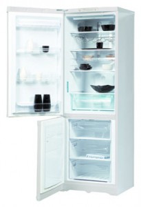 Kühlschrank Hotpoint-Ariston RMBDA 1185.1 F Foto Rezension