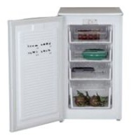 Холодильник WEST FR-1001 Фото обзор