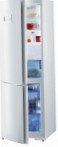 tốt nhất Gorenje RK 67325 W Tủ lạnh kiểm tra lại