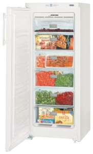 Refrigerator Liebherr GNP 2313 larawan pagsusuri