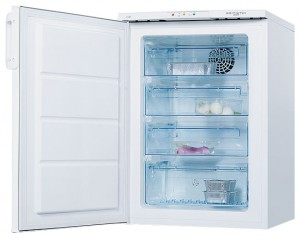 Ψυγείο Electrolux EUF 10003 W φωτογραφία ανασκόπηση