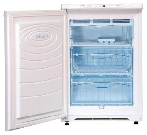 Refrigerator Delfa DRF-91FN larawan pagsusuri