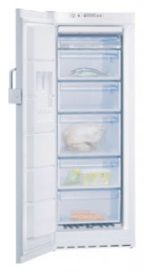 Refrigerator Bosch GSN24V01 larawan pagsusuri