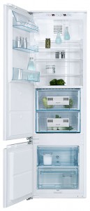 Refrigerator Electrolux ERZ 28801 larawan pagsusuri