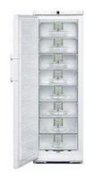 Refrigerator Liebherr G 3113 larawan pagsusuri