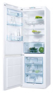 Kühlschrank Electrolux ERB 36402 W Foto Rezension