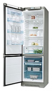Refrigerator Electrolux ERB 39300 X larawan pagsusuri