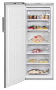 Холодильник BEKO FS 225320 X Фото обзор