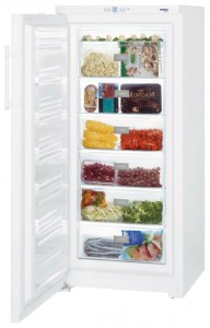 Холодильник Liebherr GP 3013 Фото обзор