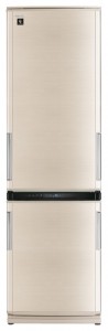 Buzdolabı Sharp SJ-WP360TBE fotoğraf gözden geçirmek