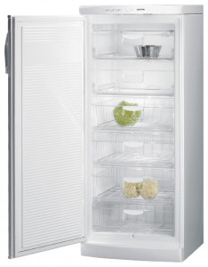 Kjøleskap Gorenje F 6248 W Bilde anmeldelse