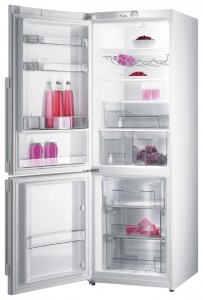 Холодильник Gorenje RK 65 SYA Фото обзор