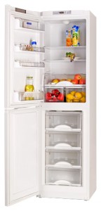 Refrigerator ATLANT ХМ 6125-131 larawan pagsusuri
