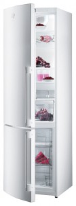 Refrigerator Gorenje RK 65 SYW2 larawan pagsusuri